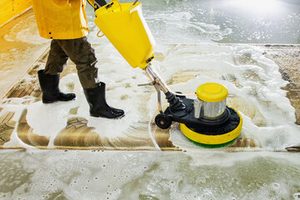 carpet cleaning